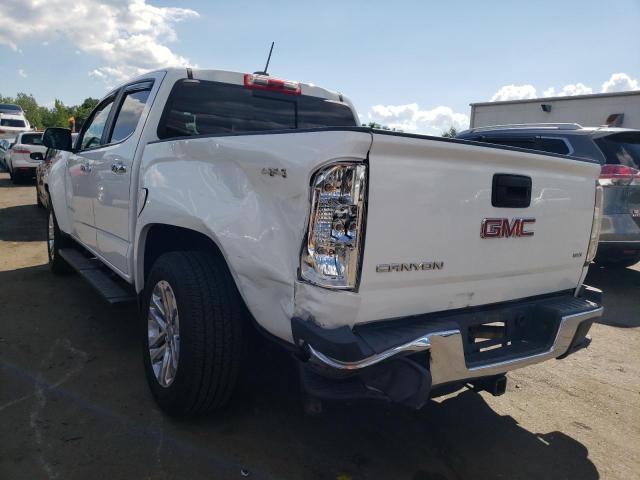 1GTG6DE38G1191257 GMC CANYON SLT
