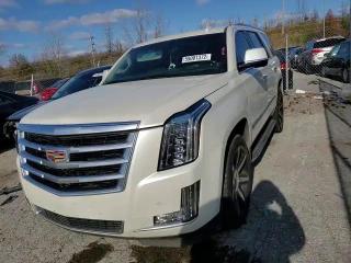 2015 Cadillac Escalade Luxury VIN: 1GYS4MKJ3FR690464 Lot: 59001372