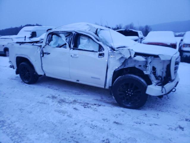 3GTU9CED9LG448984 GMC Sierra K1500 Elevation