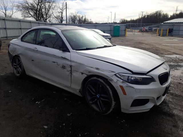 WBA1G9C52GV599120 BMW 228 Xi Sulev