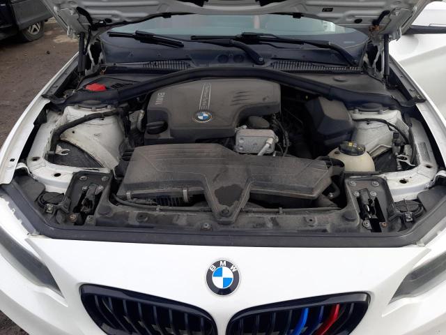 WBA1G9C52GV599120 BMW 228 Xi Sulev