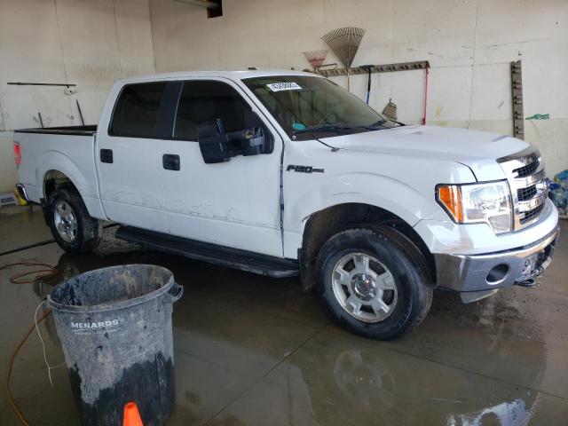 1FTFW1EF0EFA86877 Ford F150 Supercrew