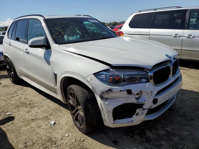 5YMKT6C55J0Y84262 BMW X5 M