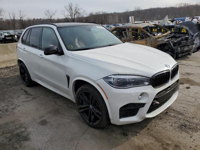 5YMKT6C59J0Y83356 BMW X5 M