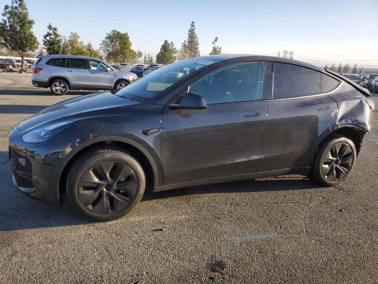 2024 TESLA MODEL Y