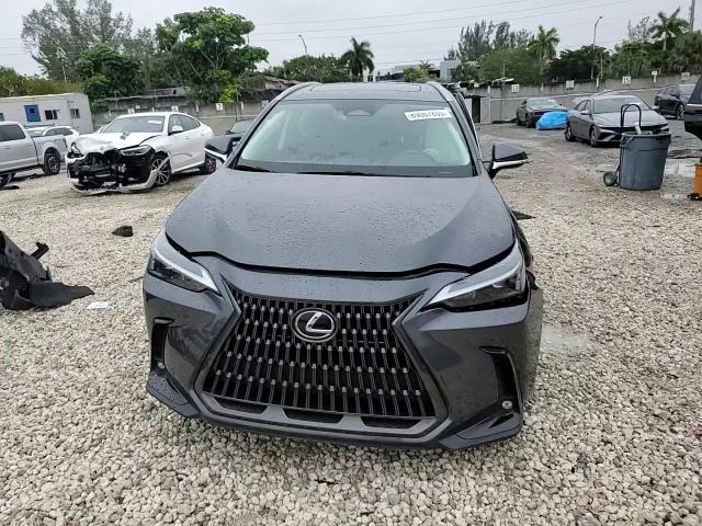 2024 Lexus NX - Image 12