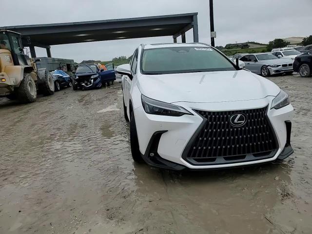 2024 Lexus NX - Image 14