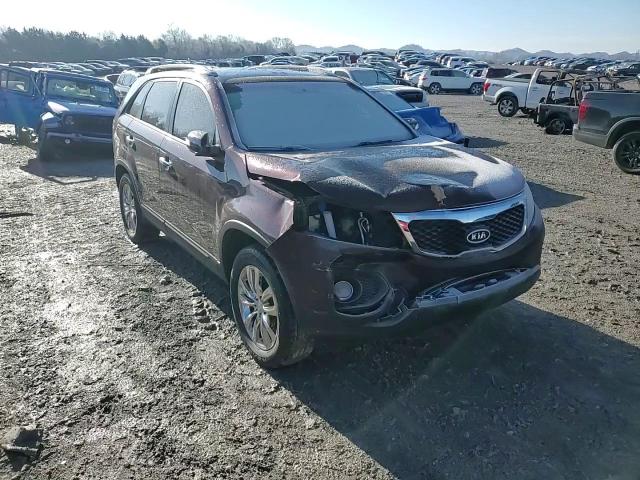 2011 Kia Sorento Ex VIN: 5XYKU3A17BG067570 Lot: 42695095