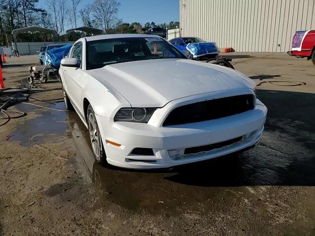 2014 Ford Mustang - Image 13