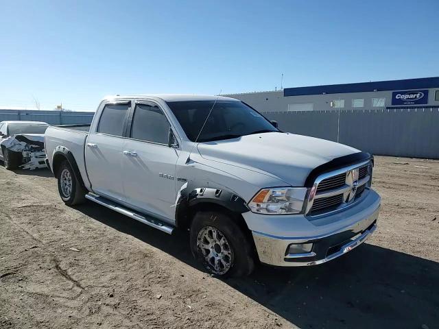 2009 Dodge Ram 1500 VIN: 1D3HV13T49S705067 Lot: 89001165