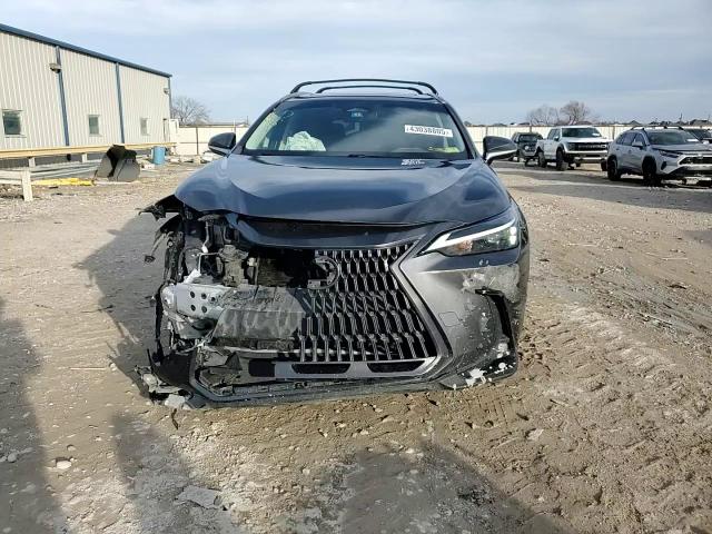 2022 Lexus NX - Image 11