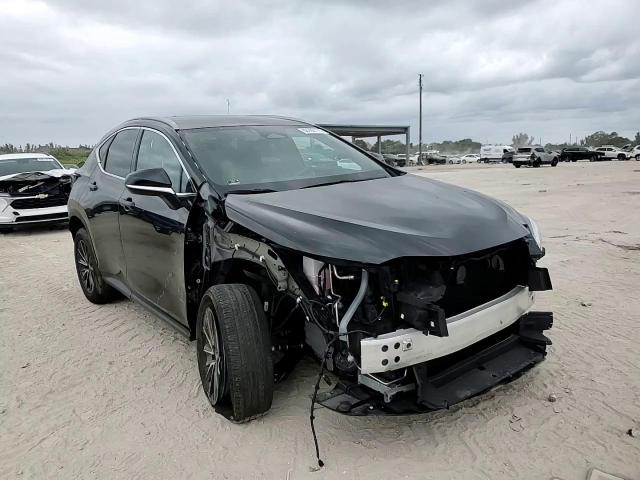2023 Lexus NX - Image 11
