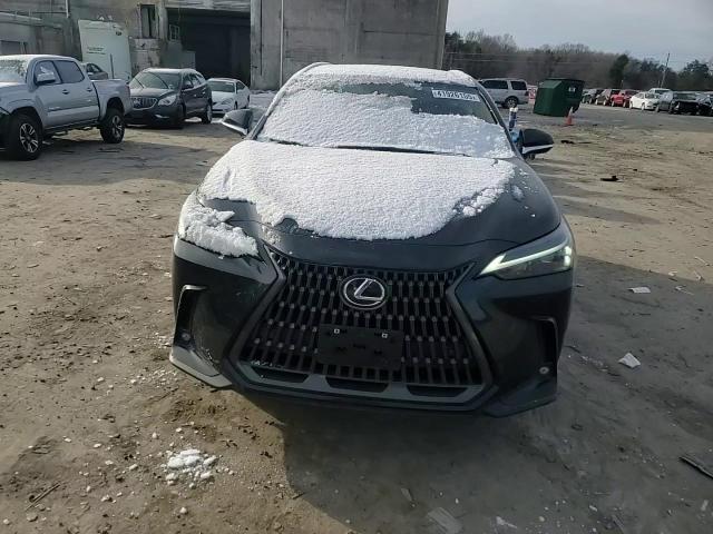 2024 Lexus NX - Image 12