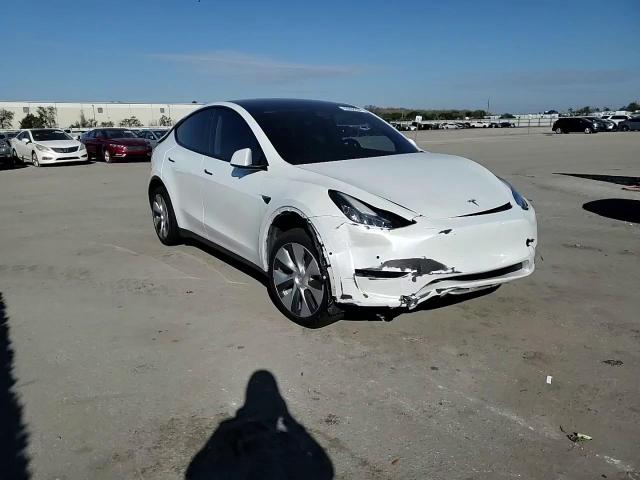 2021 Tesla Model Y VIN: 5YJYGDED2MF113988 Lot: 69176324