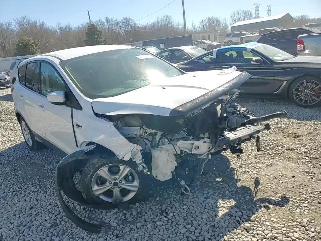 2014 Ford Escape - Image 11