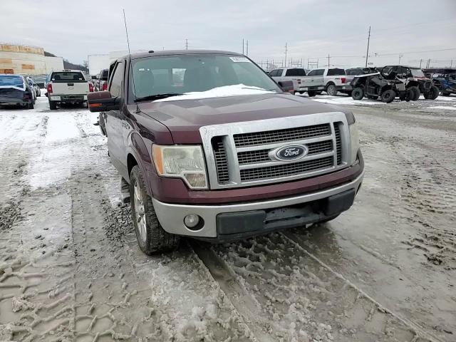 2010 Ford F-150 - Image 10