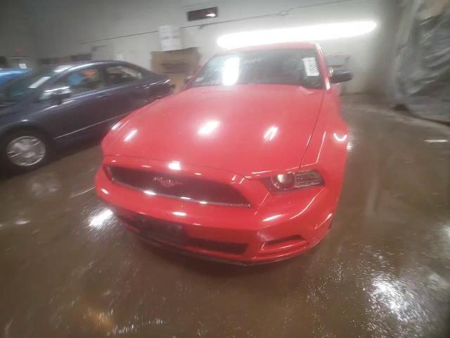 2014 Ford Mustang - Image 13