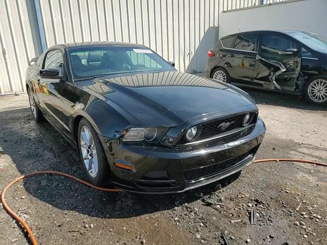 2014 Ford Mustang - Image 13