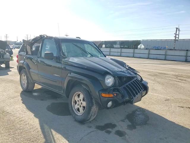2004 Jeep Liberty (North America) - Image 11