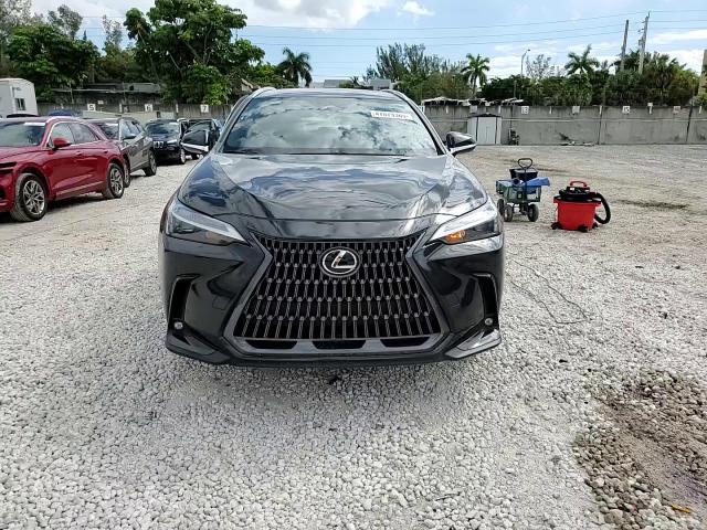 2022 Lexus Nx 250 VIN: 2T2ADCAZ2NC001134 Lot: 47079385