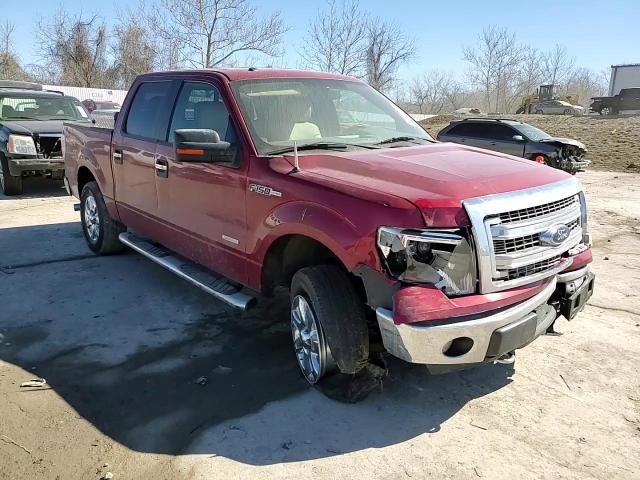 2014 Ford F-150 - Image 11