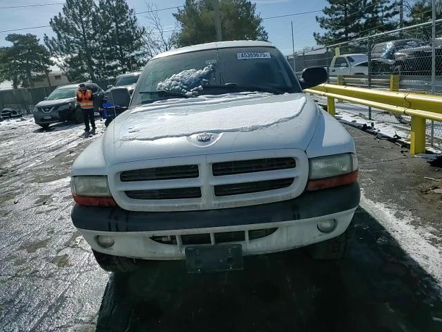 2002 Dodge Dakota - Image 10