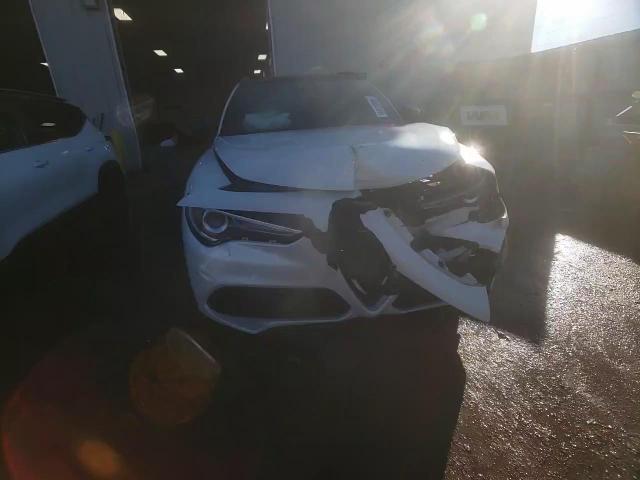 2020 Alfa Romeo Stelvio Ti VIN: ZASPAKBNXL7C93313 Lot: 46082005