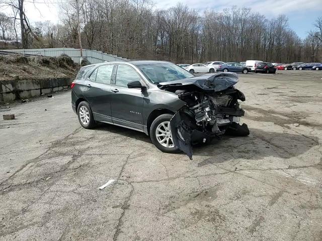 2019 Chevrolet Equinox Ls VIN: 2GNAXSEV9K6160105 Lot: 44607764