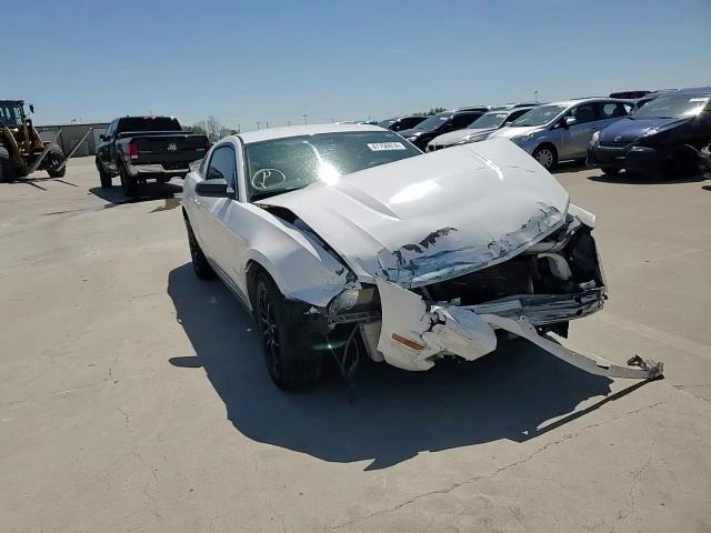 2010 Ford Mustang VIN: 1ZVBP8AN2A5107145 Lot: 47756914