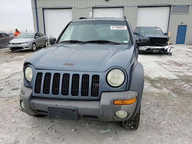 2002 Jeep Liberty (North America) - Image 12
