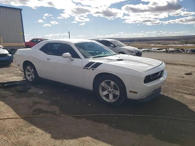 2013 Dodge Challenger R/T VIN: 2C3CDYBT3DH535790 Lot: 48529355