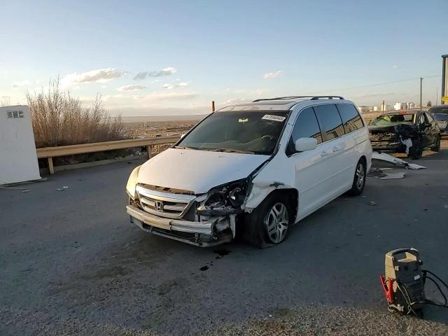 2005 Honda Odyssey Exl VIN: 5FNRL387X5B125243 Lot: 54060195