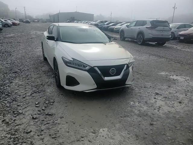 2021 Nissan Maxima Sv VIN: 1N4AA6CV6MC501612 Lot: 48530415