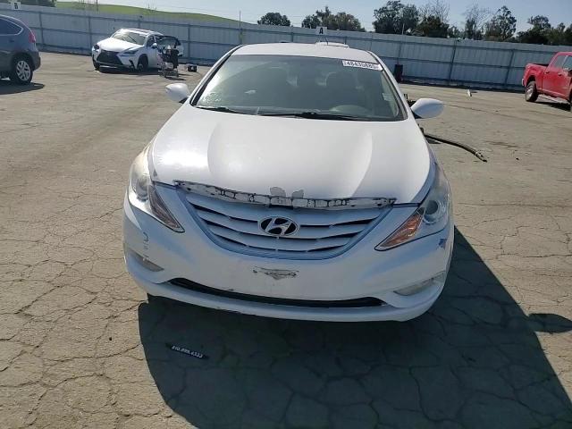 2013 Hyundai Sonata Gls VIN: 5NPEB4AC2DH803899 Lot: 48435885