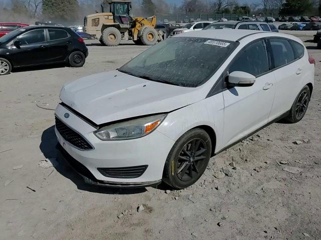 2015 Ford Focus Se VIN: 1FADP3K21FL233024 Lot: 48570685