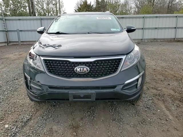 2016 Kia Sportage - Image 11