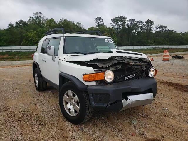 2010 Toyota Fj Cruiser VIN: JTEZU4BFXAK010623 Lot: 49345514