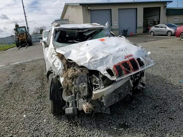 2019 Jeep Cherokee Latitude Plus VIN: 1C4PJMLX4KD482012 Lot: 49346384