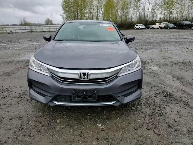 2017 Honda Accord Lx VIN: 1HGCR2F38HA054508 Lot: 50162834