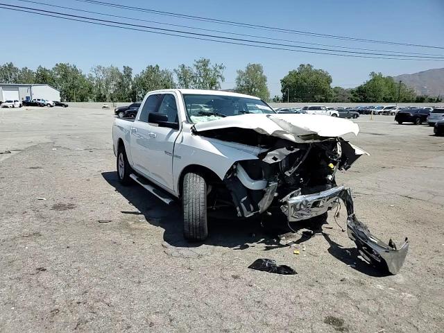 2009 Dodge Ram 1500 VIN: 1D3HB13T29S798602 Lot: 53243774