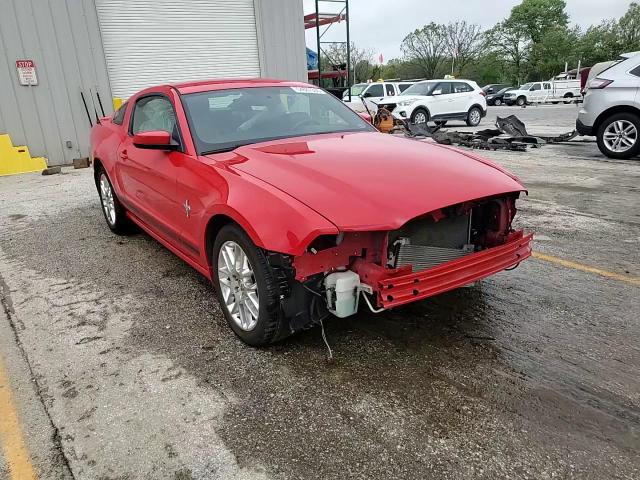 2013 Ford Mustang VIN: 1ZVBP8AM1D5223156 Lot: 54687355