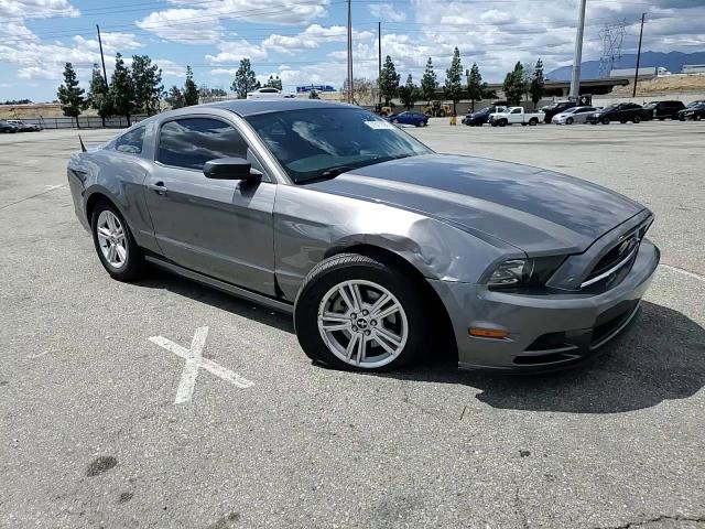 2014 Ford Mustang VIN: 1ZVBP8AM3E5207882 Lot: 51511195