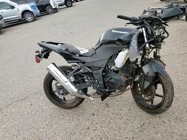 2009 Kawasaki Ex250 J VIN: JKAEXMJ139DA30807 Lot: 55142865