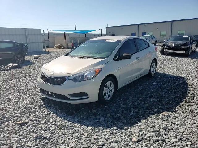 2014 Kia Forte Lx VIN: KNAFK4A66E5061312 Lot: 52224165