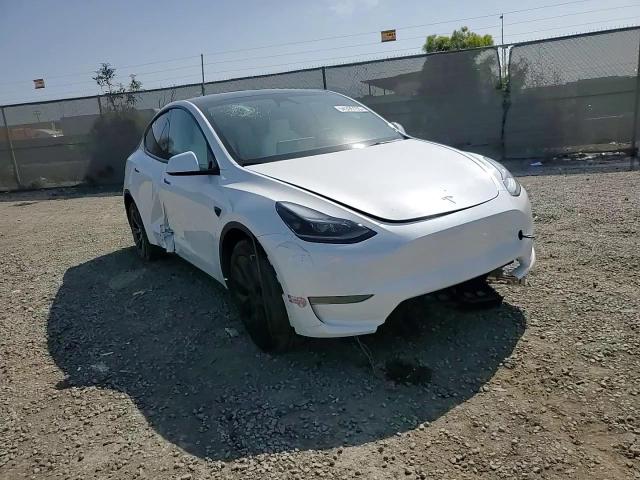 2024 Tesla Model Y VIN: 7SAYGDED8RF105176 Lot: 54306155