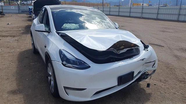 2024 Tesla Model Y VIN: 7SAYGDED1RF073221 Lot: 54175355