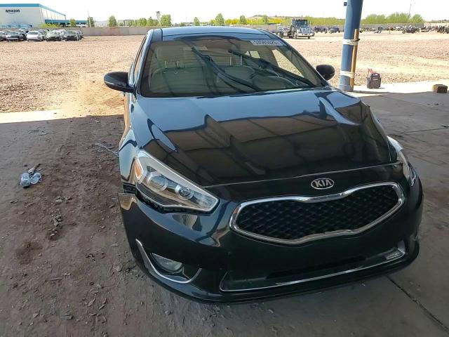 2014 Kia Cadenza Premium VIN: KNALN4D73E5133226 Lot: 53585025