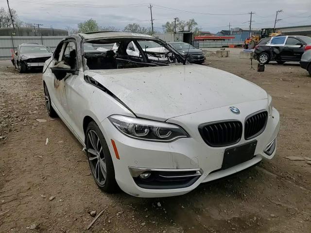 2019 BMW 230Xi VIN: WBA2J3C57KVD49337 Lot: 55321125