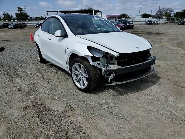 2024 Tesla Model Y VIN: 7SAYGDEDXRF055641 Lot: 51019325