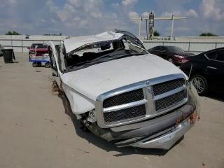 2002 Dodge Ram 1500 VIN: 1D7HA16N12J132681 Lot: 53449343